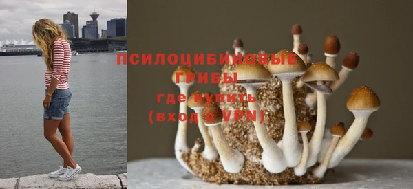 метадон Алексин