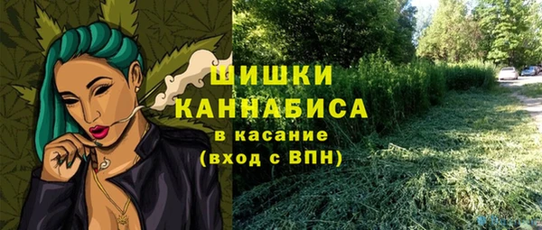 МДПВ Алексеевка