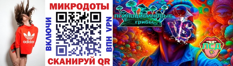 Галлюциногенные грибы Psilocybe  закладки  Кропоткин 